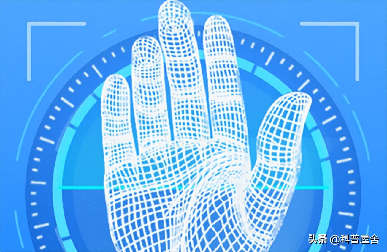 中科院发现指纹斗与簸箕的奥秘,指纹除了簸箕和斗还有一种叫什么