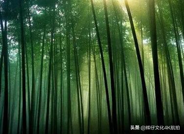 鎻鍏ㄧ悆鏈牬鎮鍚堥泦,鎻涓浗澶ф鍚堥泦