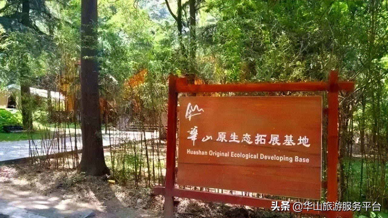 这段时间游华山免门票,华山旅游景点免门票怎么预约的