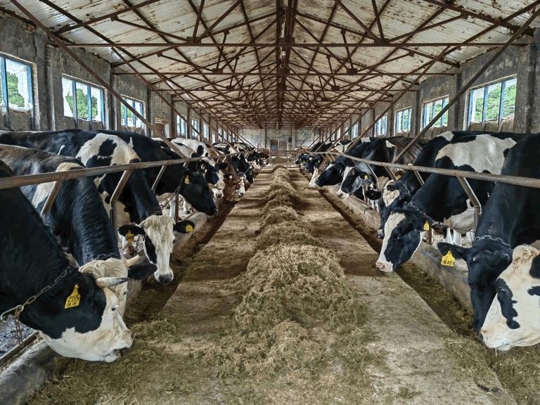 一场农民由“身份”到“职业”的转型，正在吉林大地上拉开大幕！让“田秀才”“土专家”脱颖而出