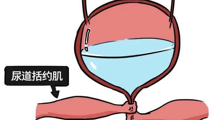 一个单身女人的婚前疑惑,一位单身女性的疑惑