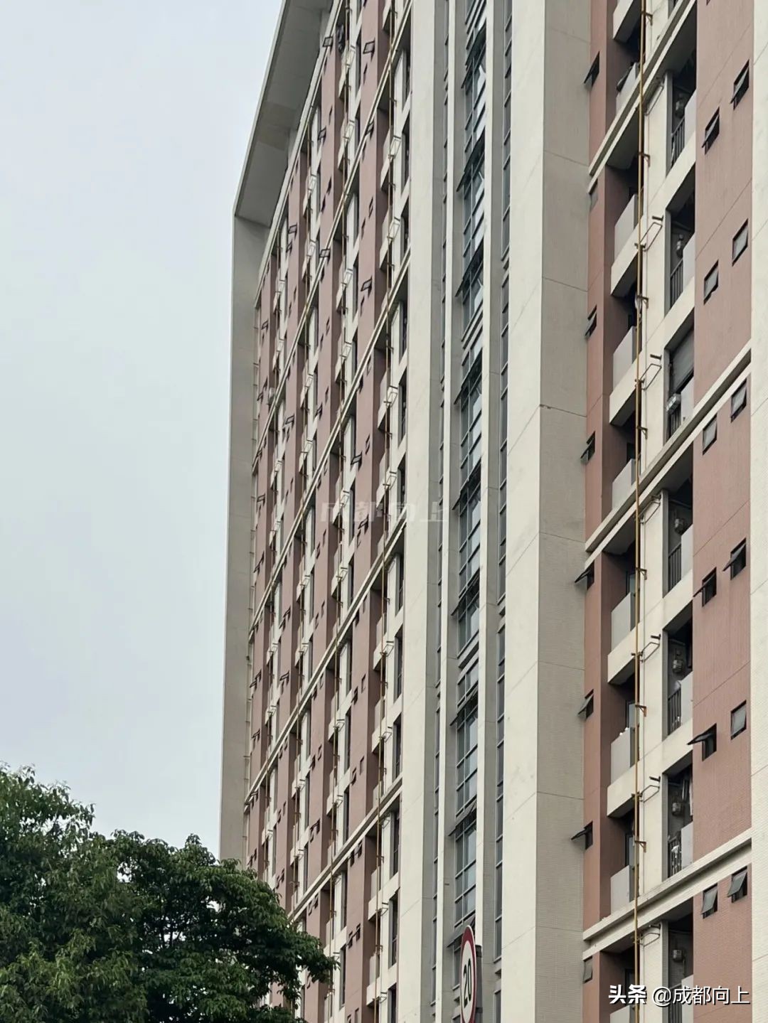 今年成都首个保障性租赁住房,成都发布保障性租赁住房权威解读