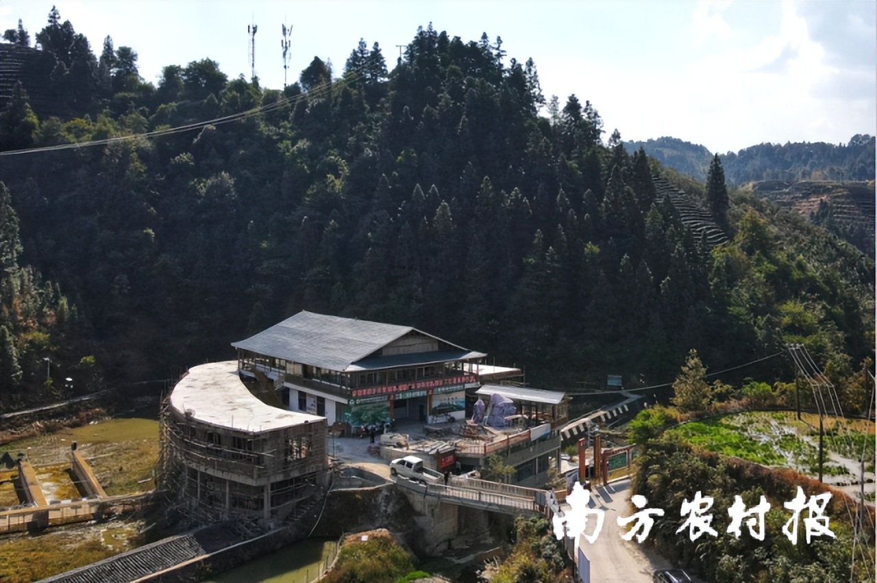 五个村五本产业“致富经”！吴川-三江玩转“林下+庭院”经济”