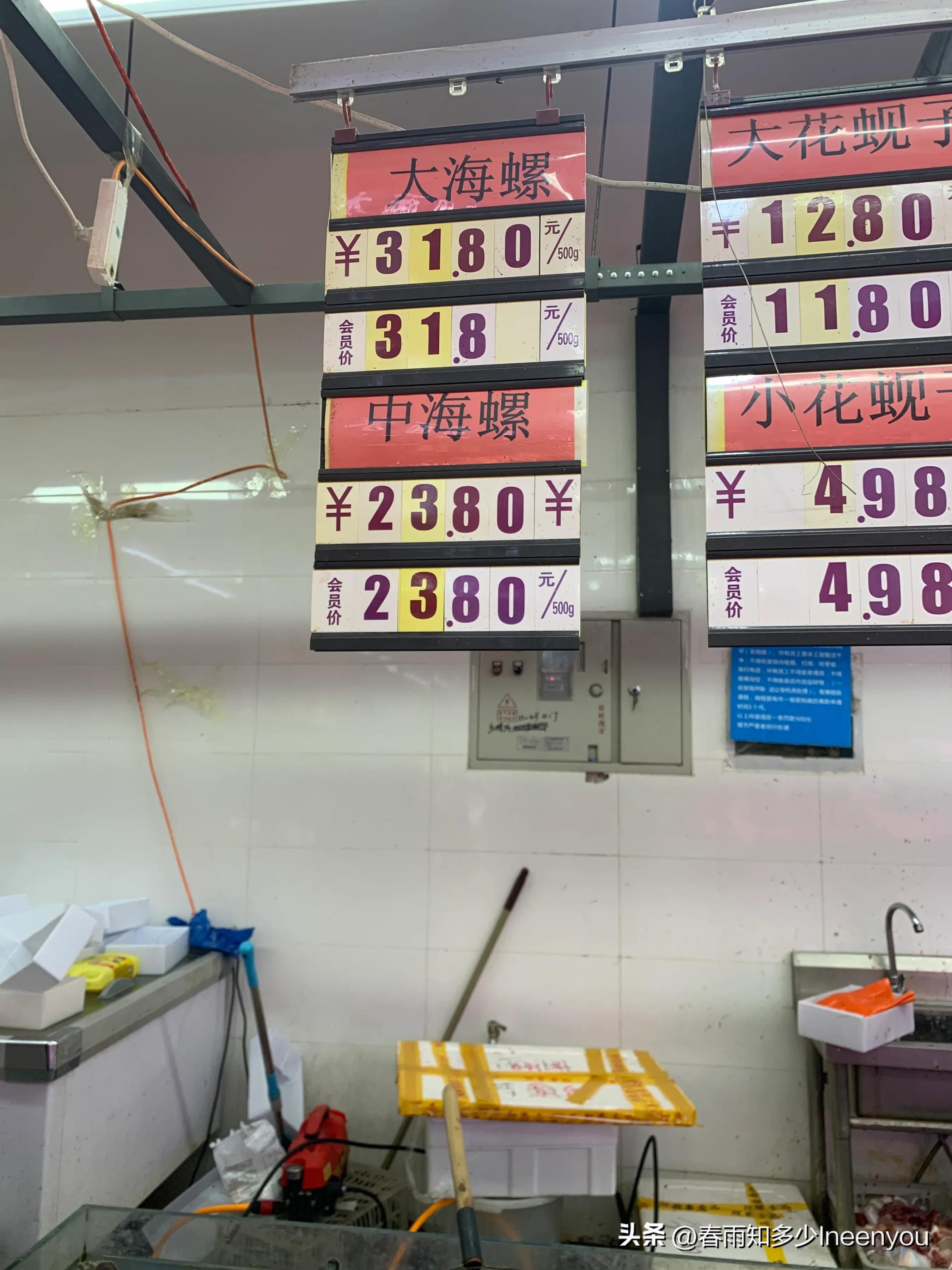 生活本就是不停的奔波,元旦将至忙忙碌碌