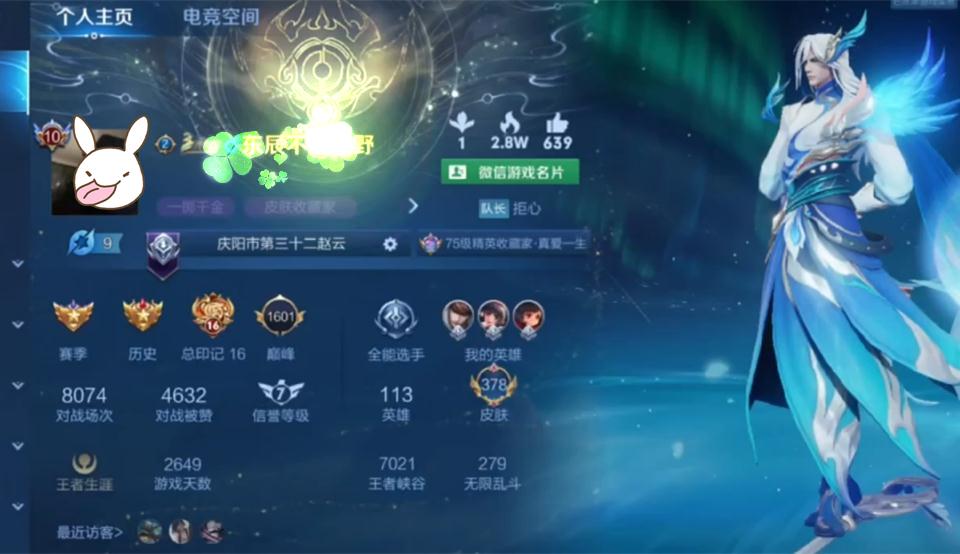 王者荣耀里到达v10的皮肤是哪个,王者荣耀中全英雄全皮肤