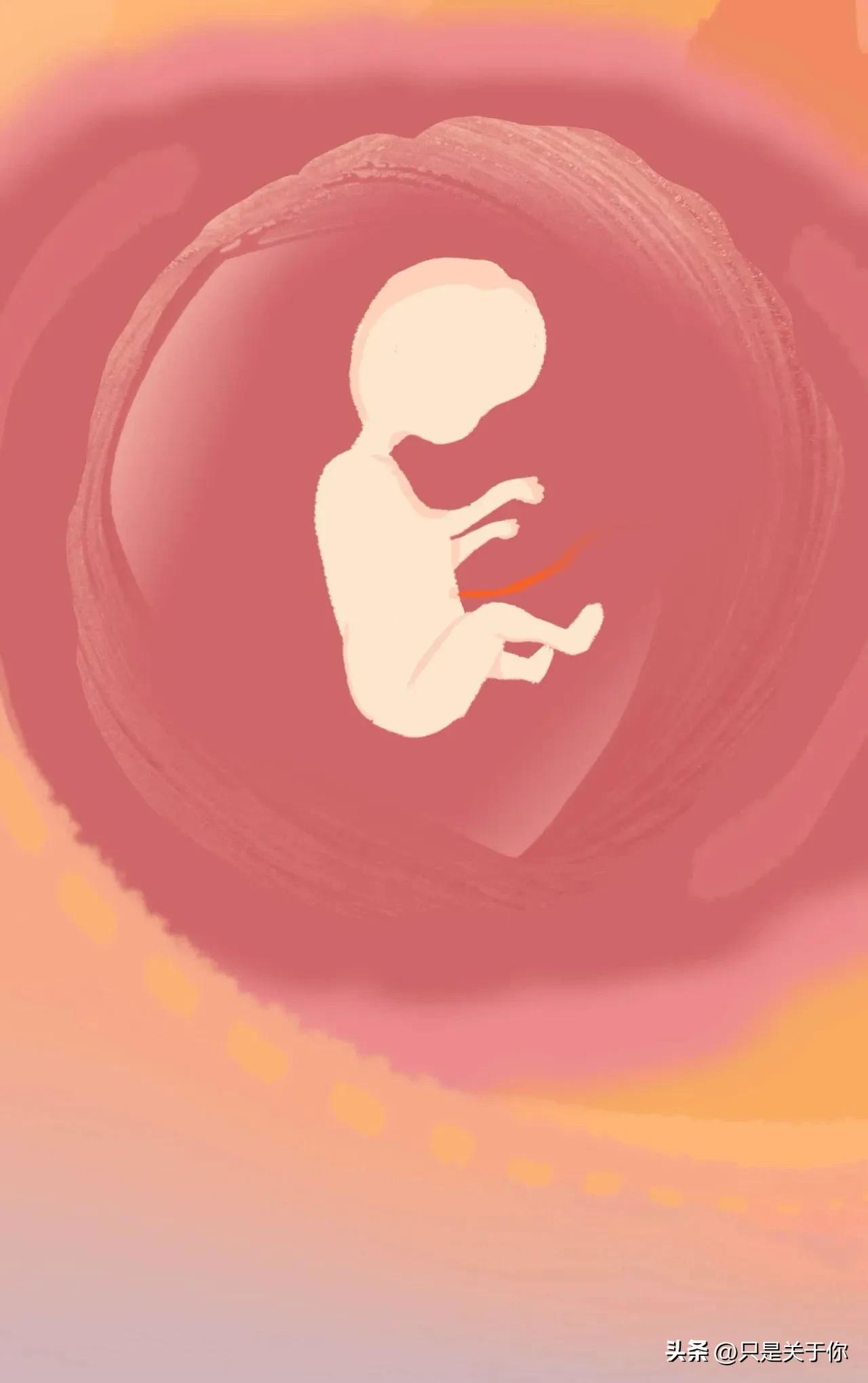 漫画：精子进入女生体内的全过程