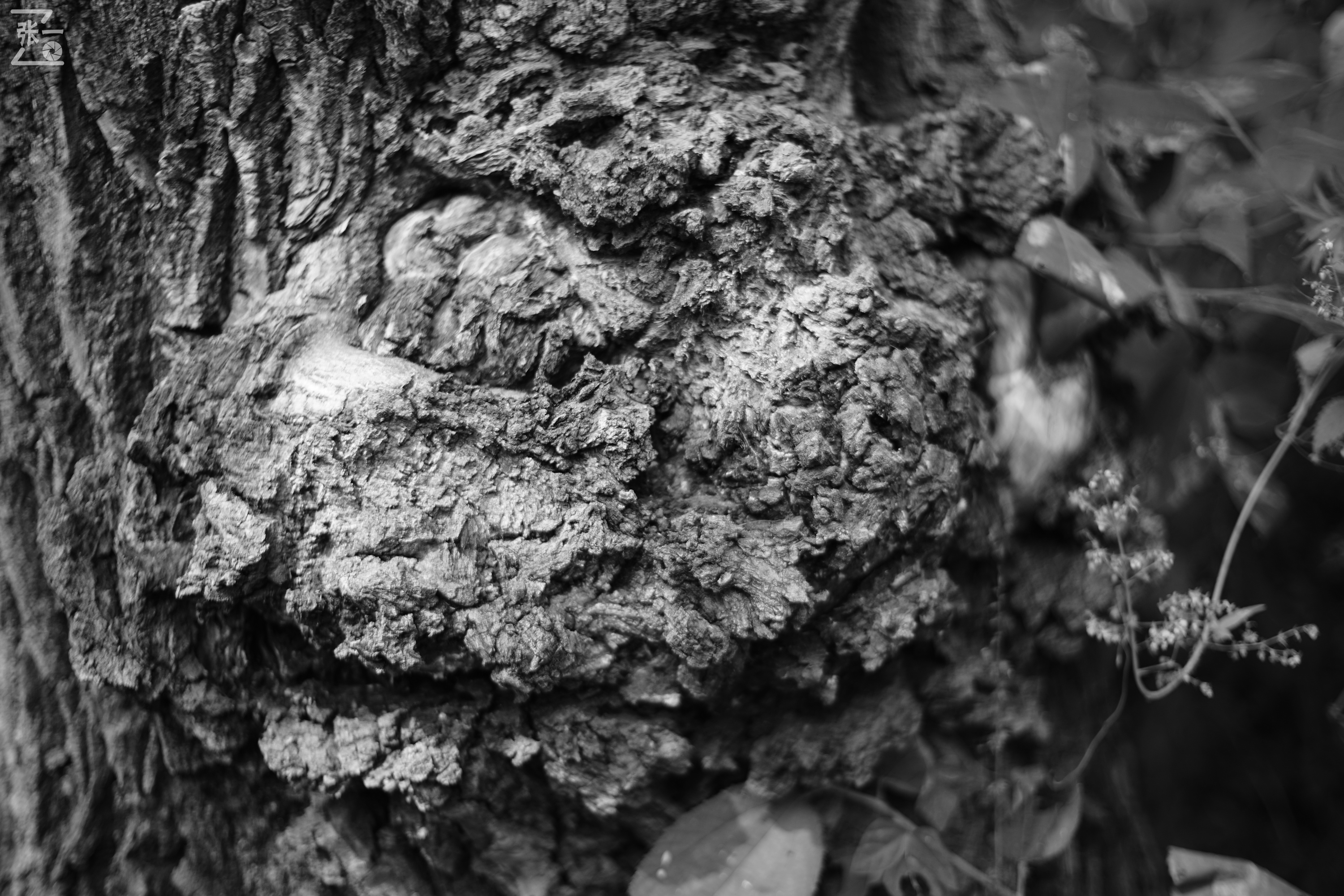 老镜头实拍,老镜头拍北京