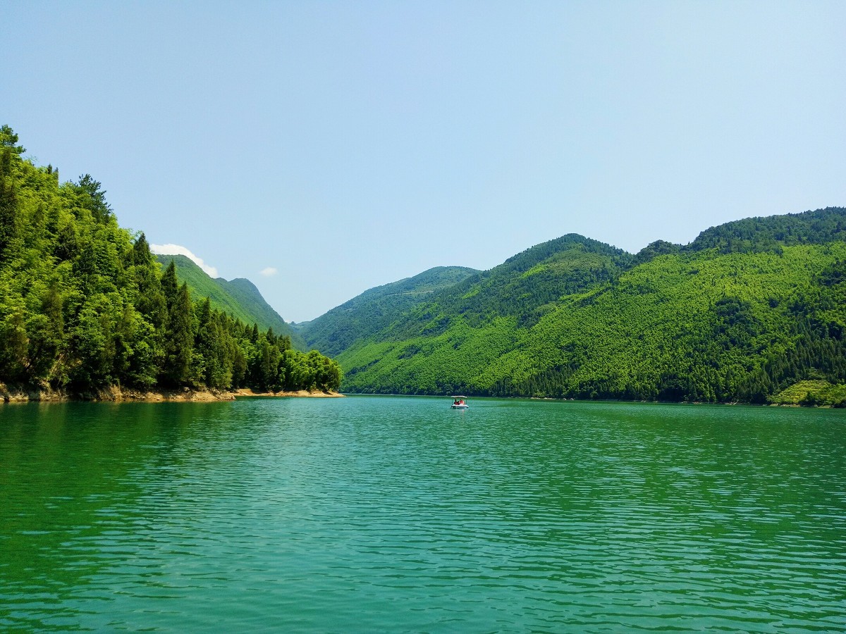 我国面临严峻就业形势的原因,国内就业形势严峻国家怎么样应对