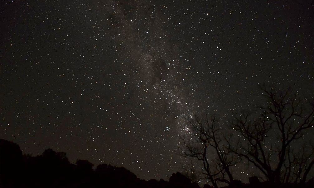 戈壁上的爱情,戈壁上的爱情电影在线观看
