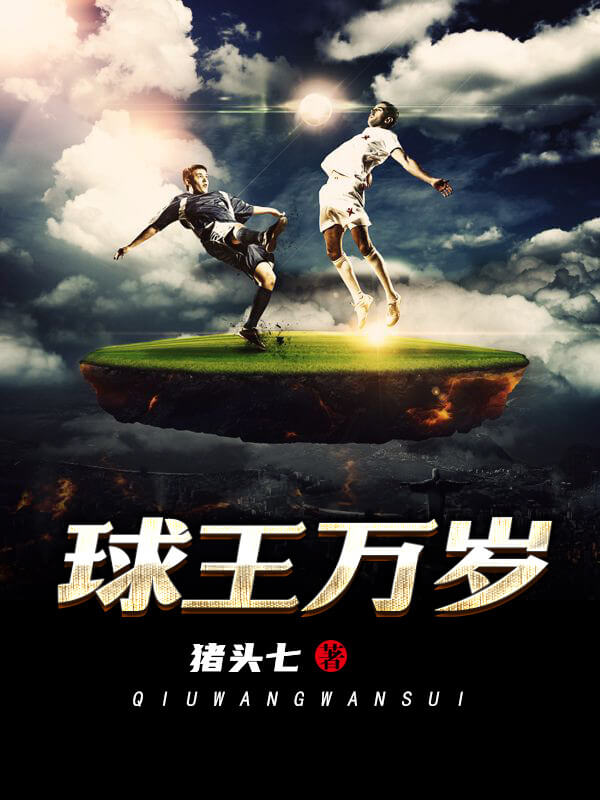 小说推荐足球竞技,20本好看的足球小说