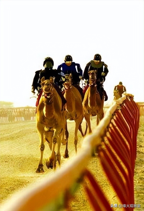 带你走进真实的卡塔尔：你应该知道的15个关于卡塔尔的冷知识