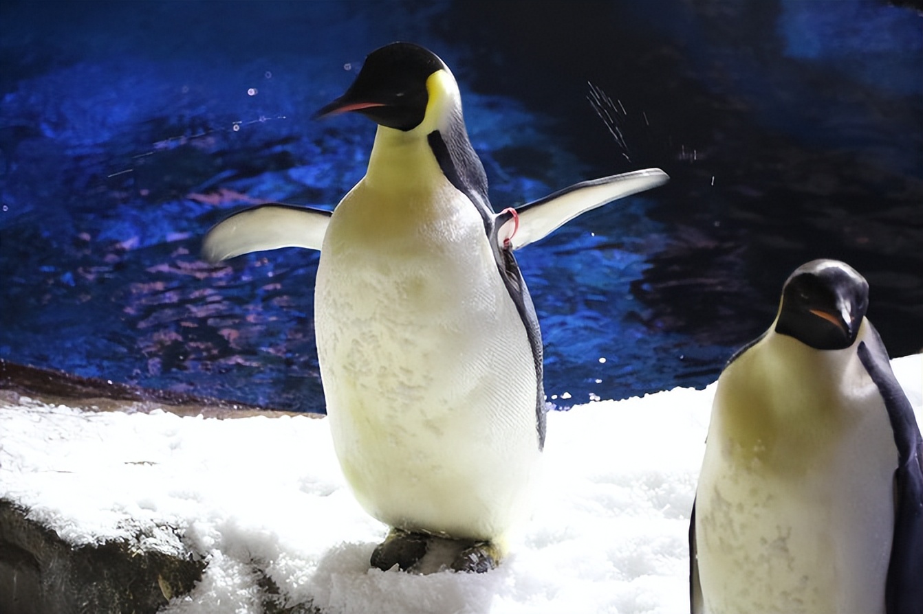 《给首次去武汉的你：奉上一篇超详细的武汉遛娃游玩攻略》