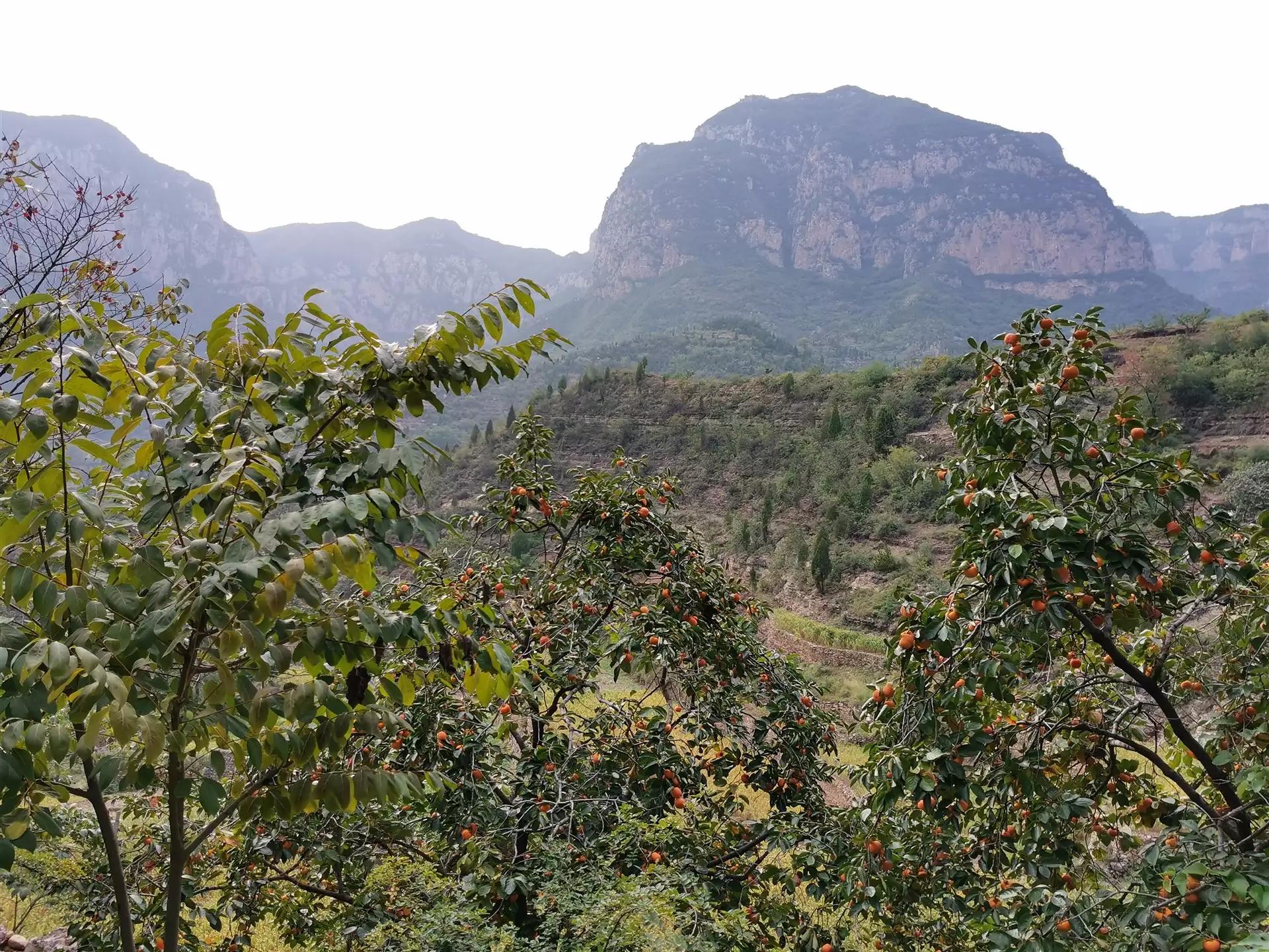 厌倦了城市生活回农村生活,厌烦了城市生活的句子