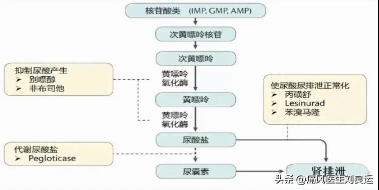痛风治好后可以不忌口吗,痛风发作过后多久才吃降尿酸的药