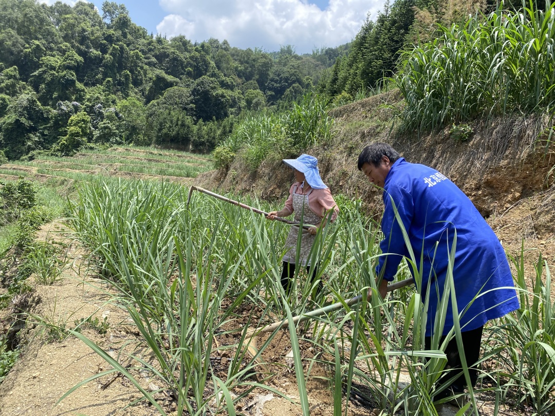 “养殖能手”汤安友：用勤劳的双手编织幸福人生