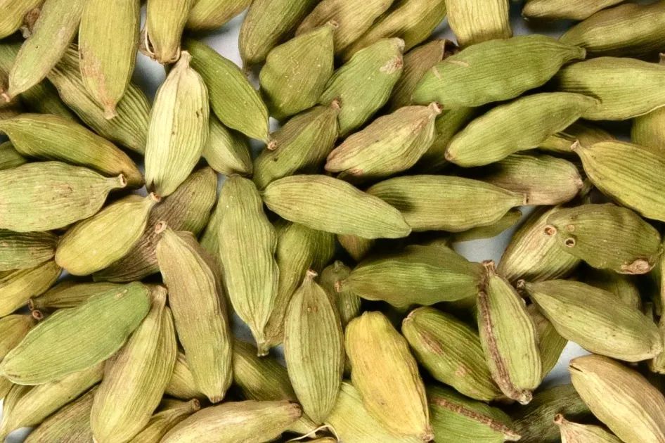 12种香料及分量,姜科植物的香料有哪些