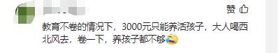 专家谈月入三千进入中等收入群体,月入3000元就能成为中等收入群体