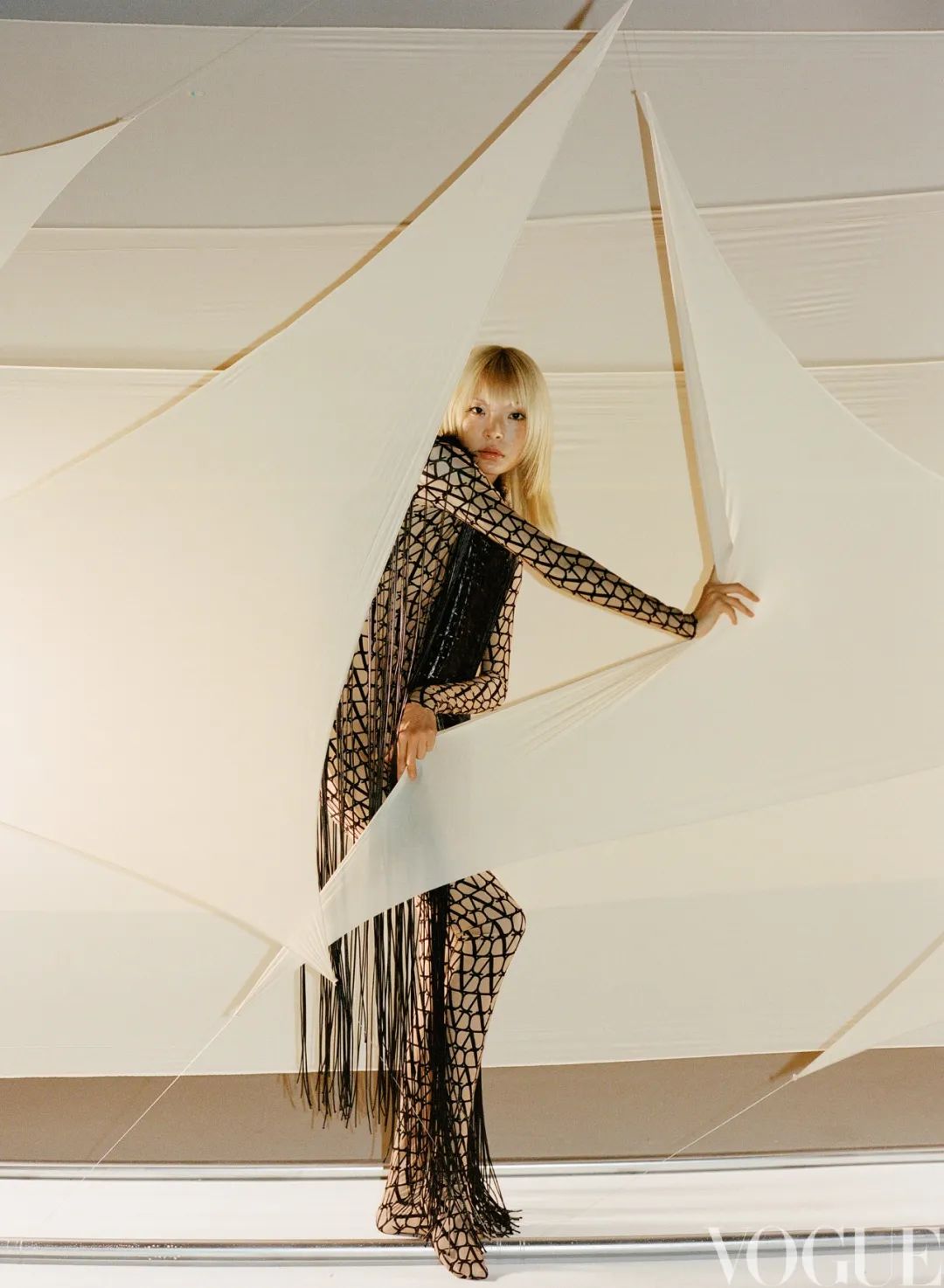 一块布的前世今生,一匹布的前世今生