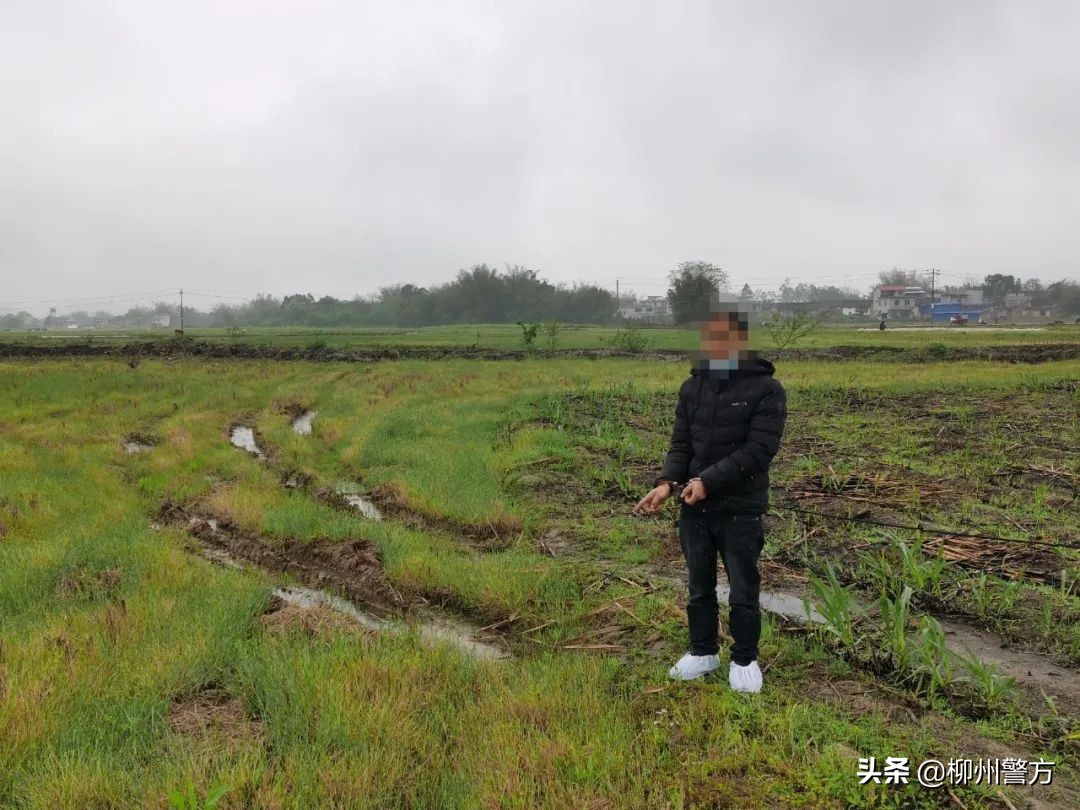 公安破连环杀人案纪实,公安局破连环杀人案