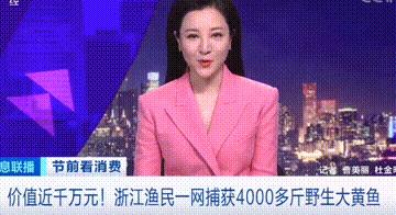 渔民捕获8.7斤大黄鱼多少钱,渔民一网捕捞近5000斤野生大黄鱼
