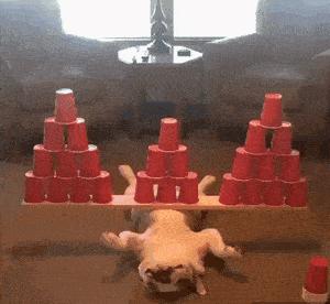 笑死了，女朋友说她昨晚游泳去了，这晒痕就是最好的证明