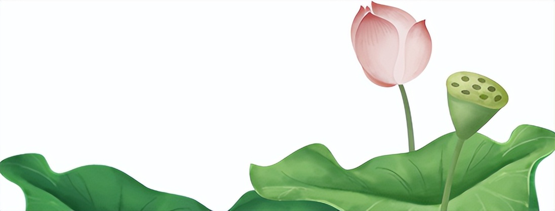 【这样想象真有趣——三年下作文展】邸妙涵《会飞的母鸡》（二）