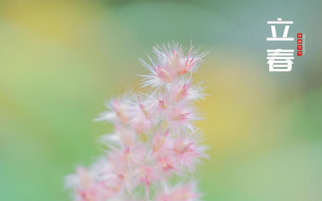 关于立春的古诗词名句,10首立春诗词送你最美的祝愿