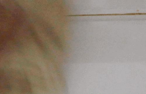 便宜又好用的良心国货你用过哪个,这些良心国货你用过么