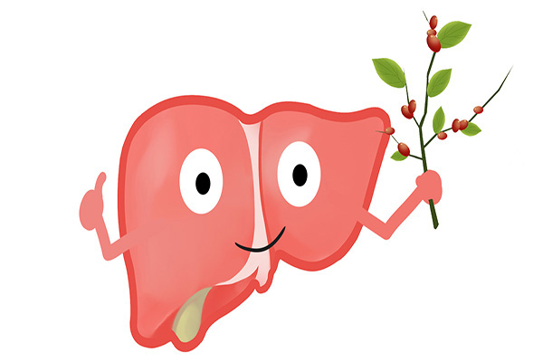 护肝片对肝脏有损害吗,护肝片真的能起护肝作用吗