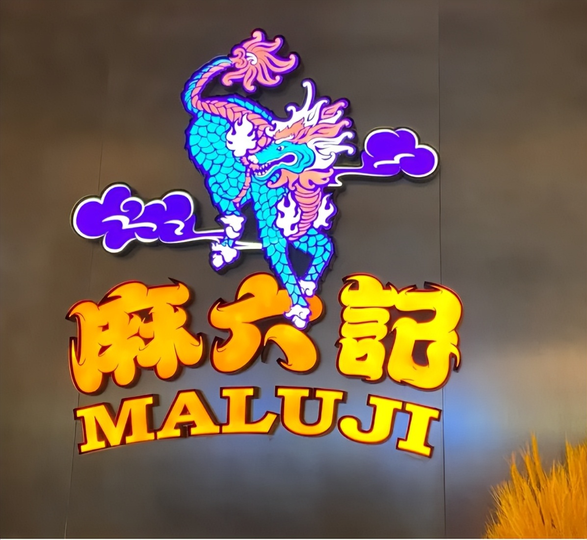 张兰是女强人吗,女强人张兰简介