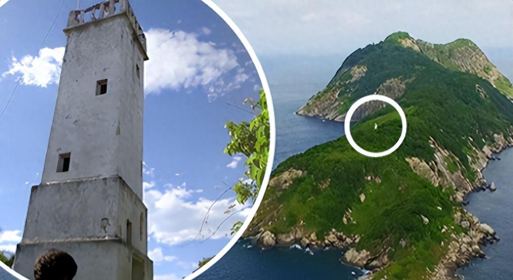 蛇岛生态链惊现老鼠吃蛇,2万条蛇成口粮引关注