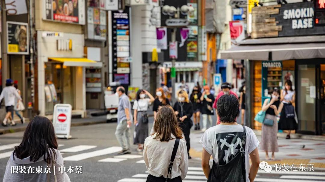 365张照片回顾,365张相片