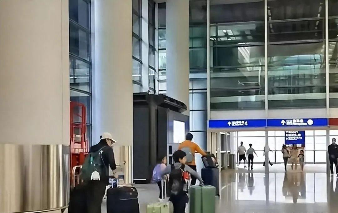 豪门清流与育儿知识,豪门育儿实例视频