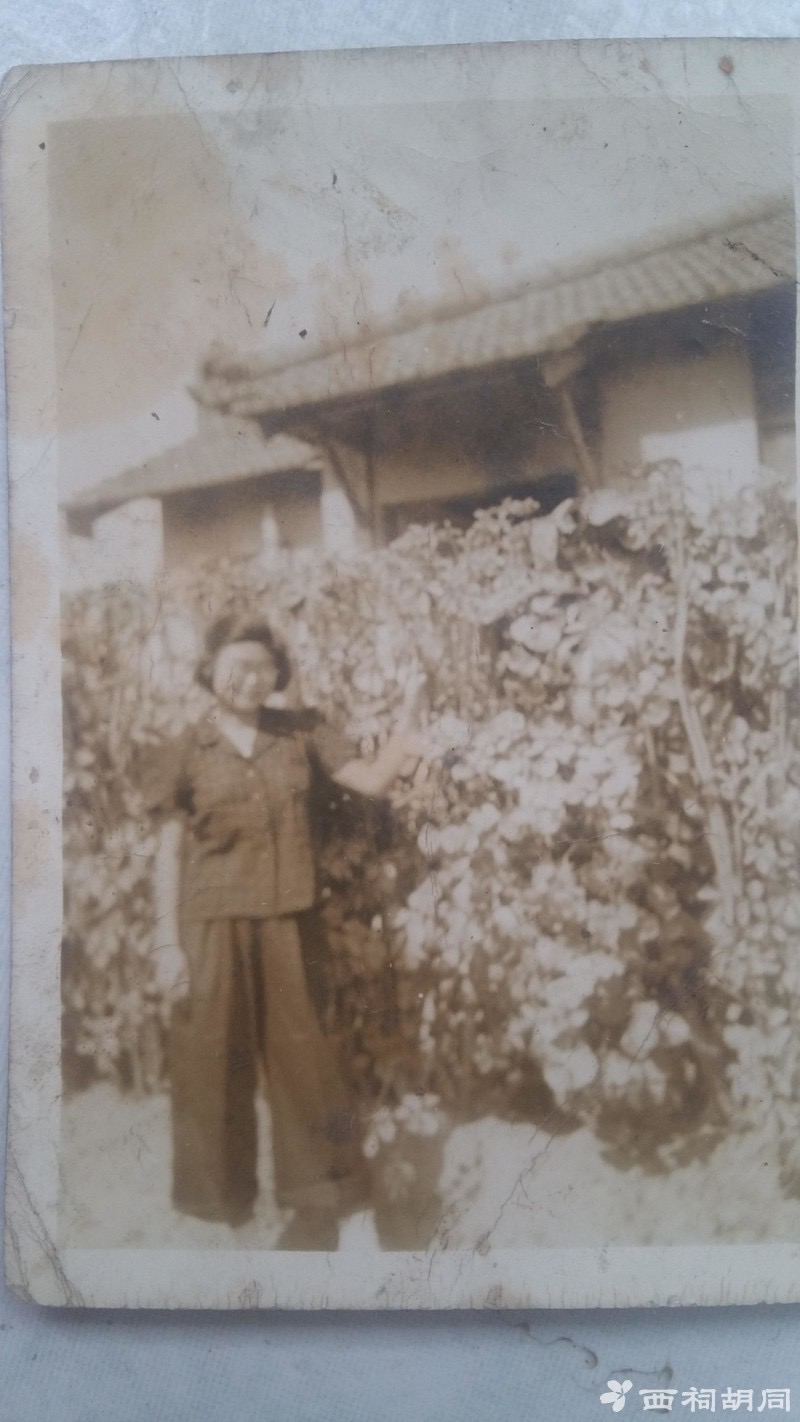 怀念已故大姐,怀念大姐的歌曲完整版