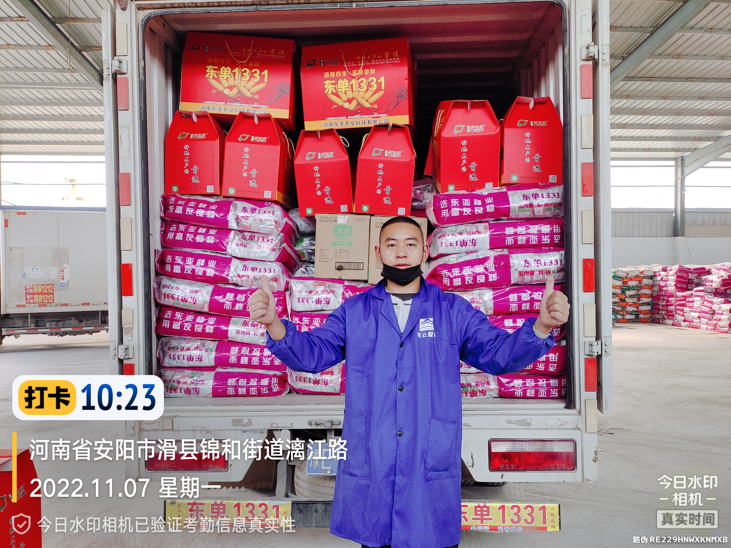 下屯卖玉米种子的怎么分出真假,玉米种子东单1331怎么样辨真假