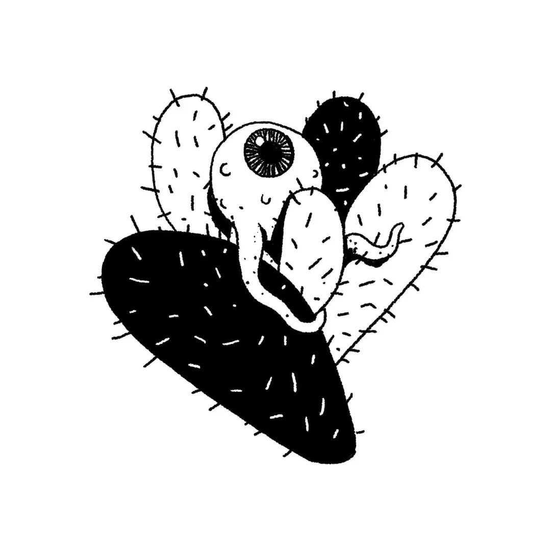 *拍偷**女性的男人，和被他们伤害的女性