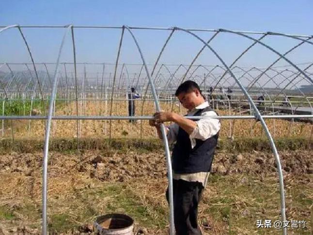 东北小伙海参崴,东北小伙去海参崴创业