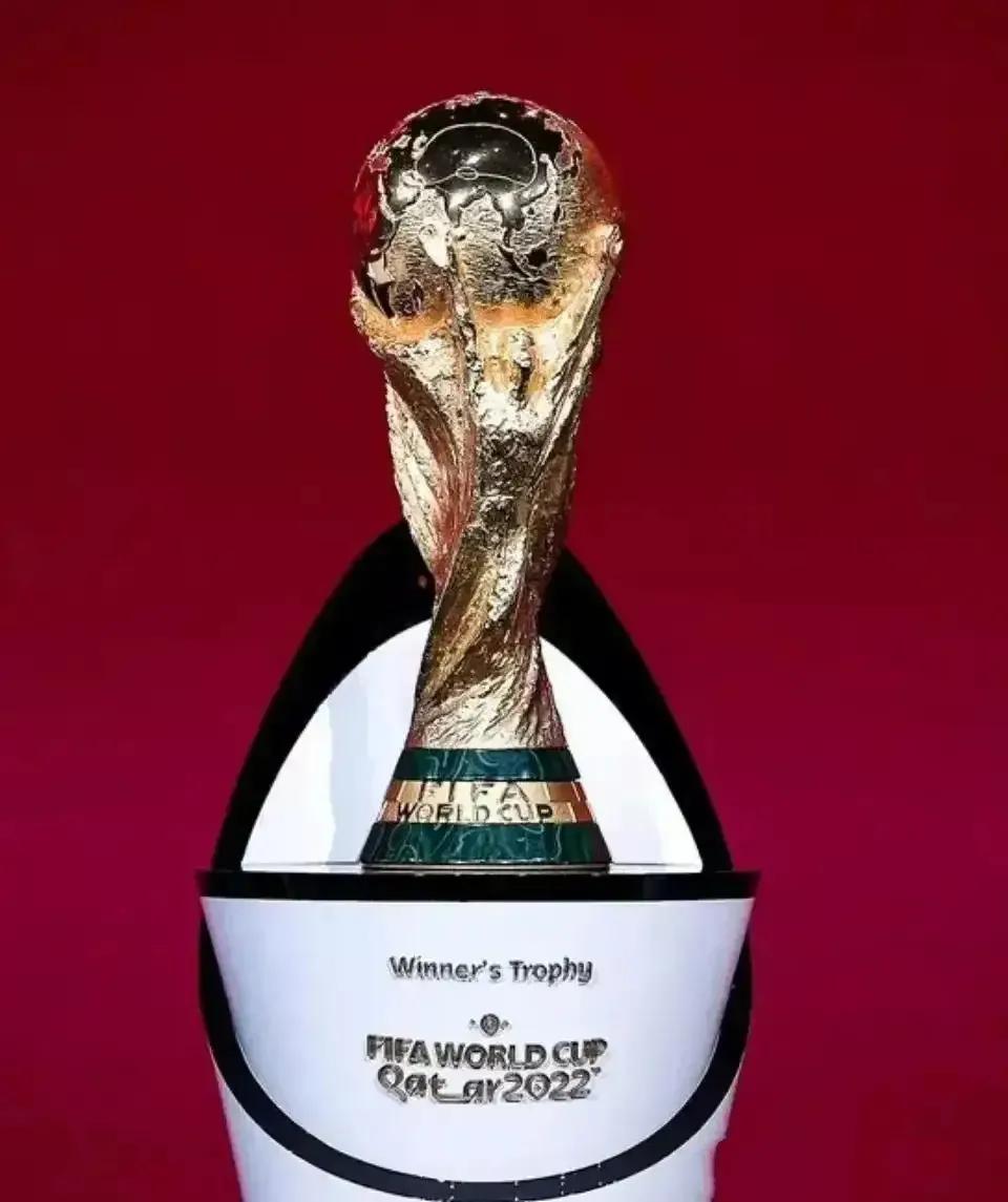 你不看足球你就不会懂系列,青春不过几届世界杯