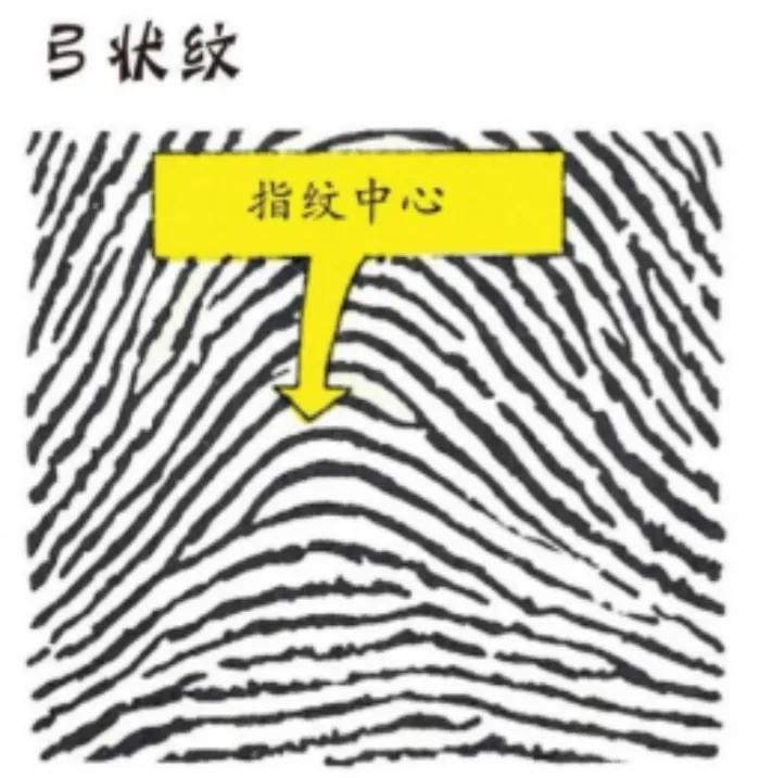 指纹为什么会有斗纹和簸箕纹,历史上指纹是十个斗和簸箕纹的人