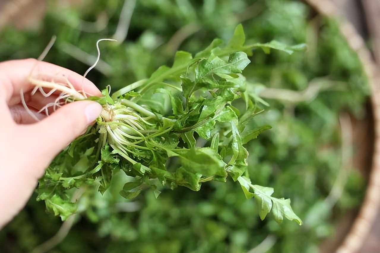 春分节气的民间习俗及禁忌,春节习俗讲解