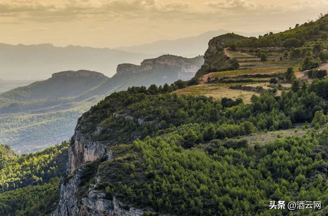 西班牙葡萄酒产区大全,西班牙十大葡萄酒品牌大全