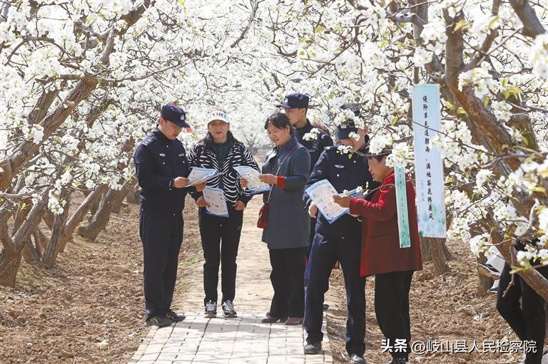 莫名其妙当了帮凶,好心帮忙却成帮凶