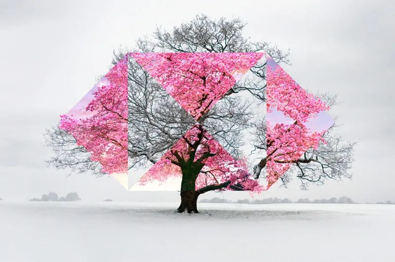 monzo银行卡申请攻略,英国银行选择及开户指南