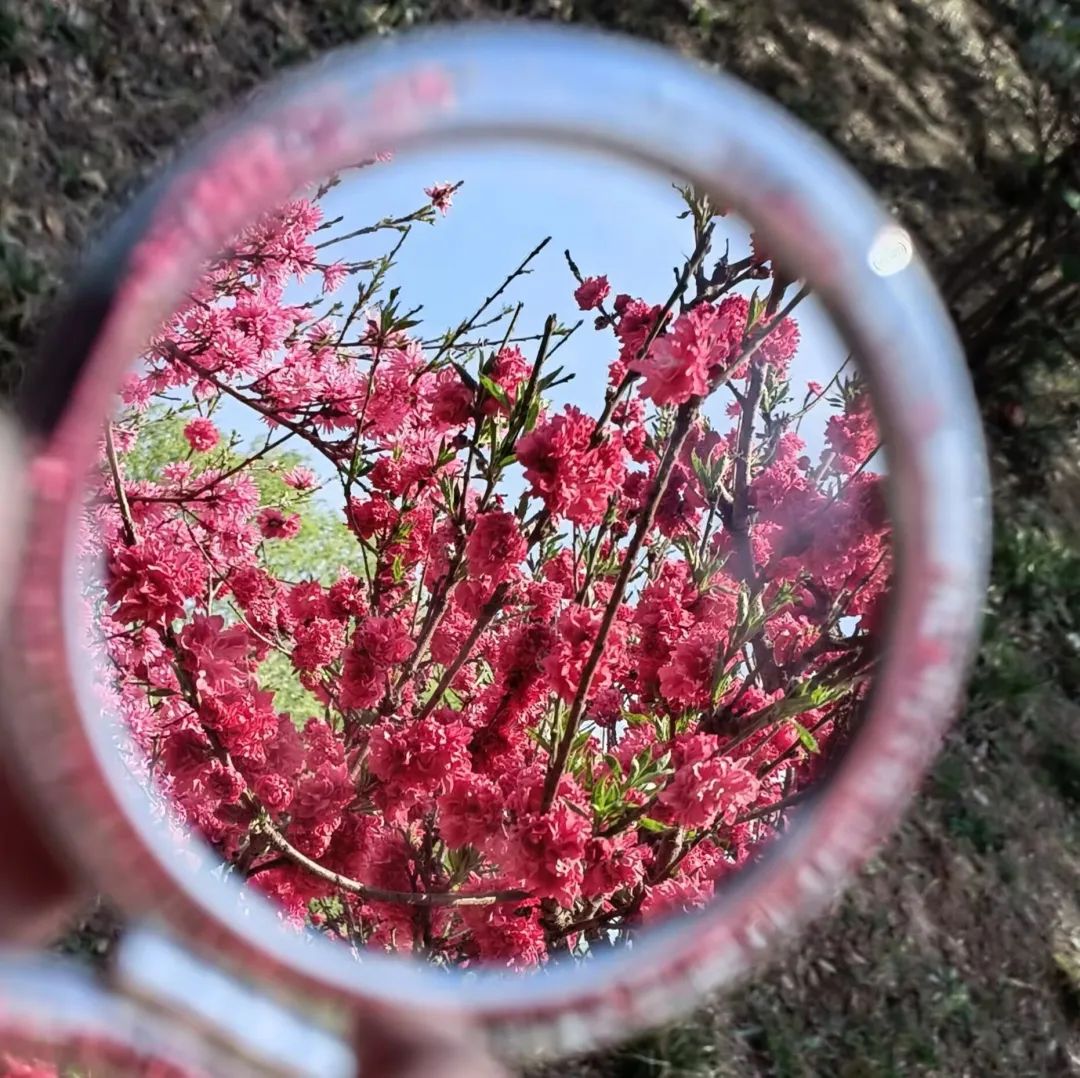 一探究“镜”!共赏镜子里的山中医