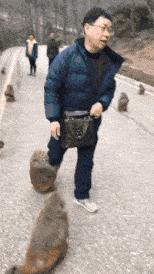 有没有结婚找不到伴娘的尴尬,实在找不到伴娘