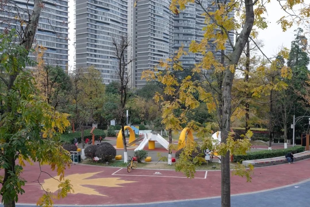 10个城市宝藏,成都还有哪些宝藏公园