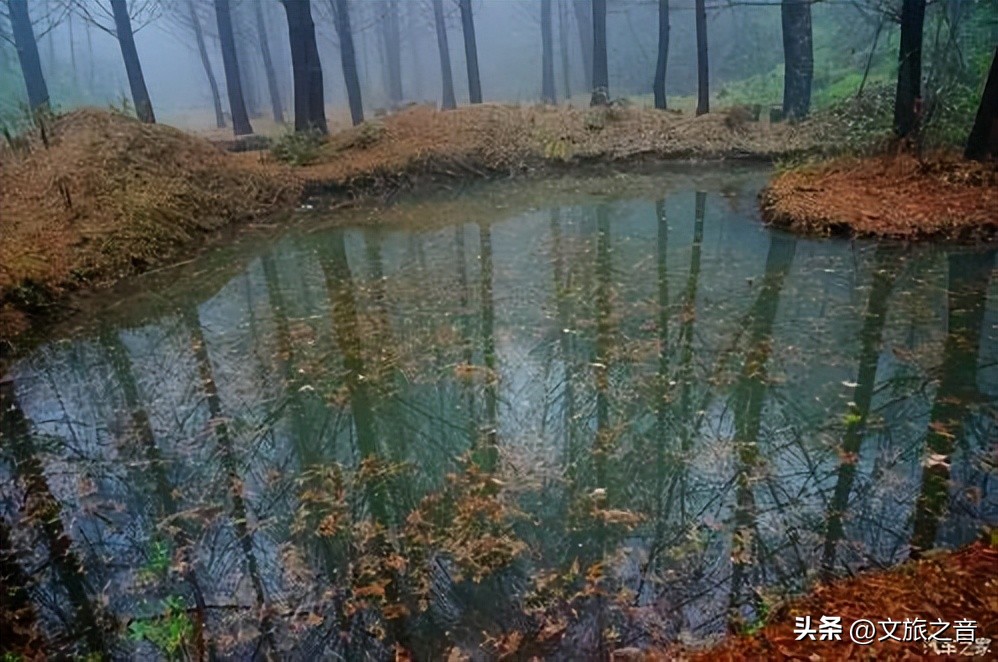 美女必跑贵妃梁，硬汉得吃擀面皮，小编带你去看最“野”的河山