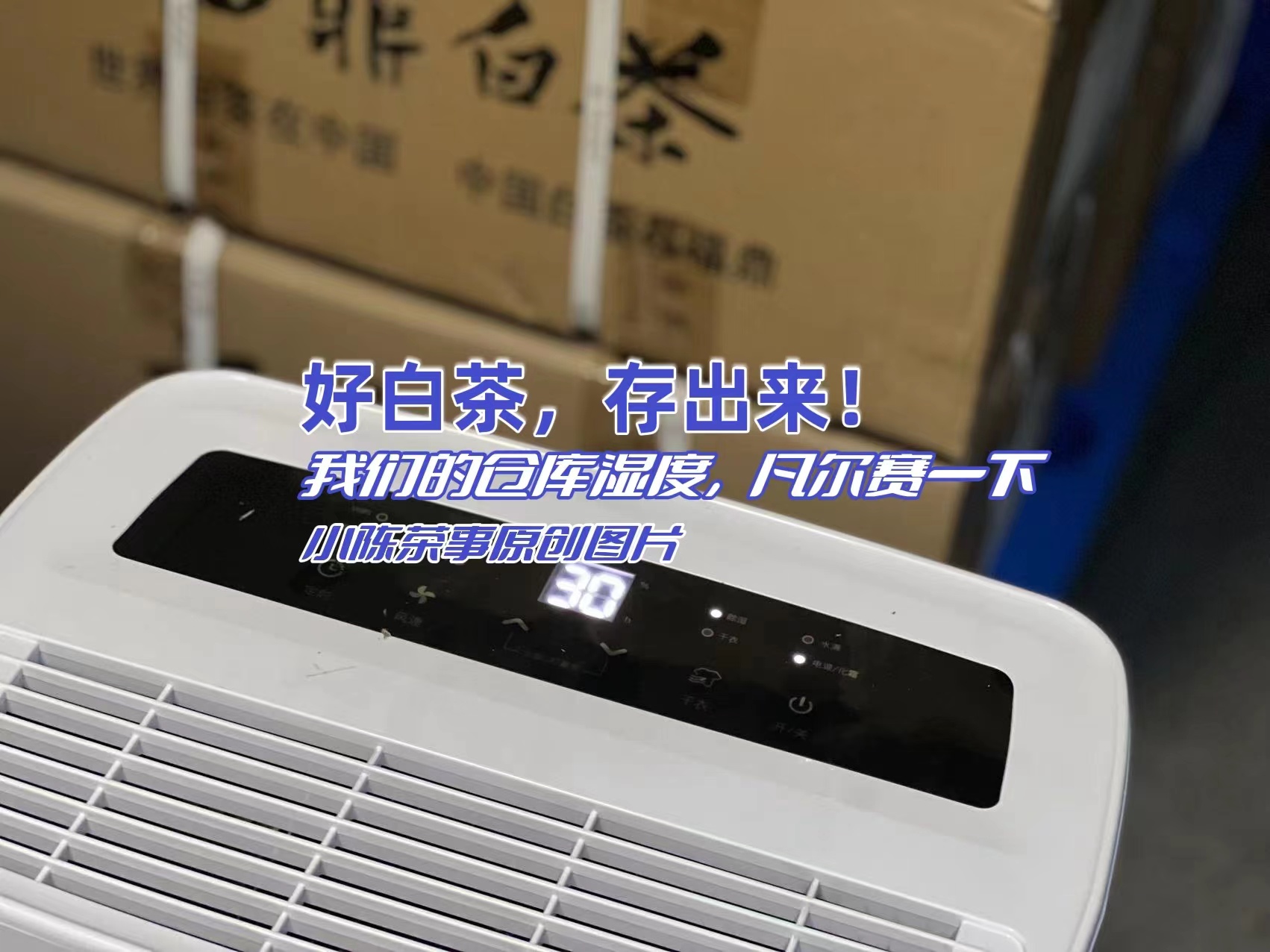 茶知识白茶的保存有什么诀窍,日常存白茶有哪些存茶细节要注意