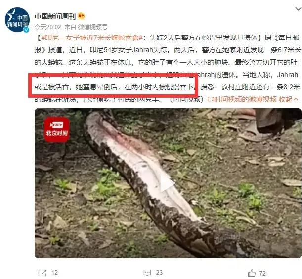 消化一头猪，巨蟒用不到一个星期，巨蟒是如何吞食活物的