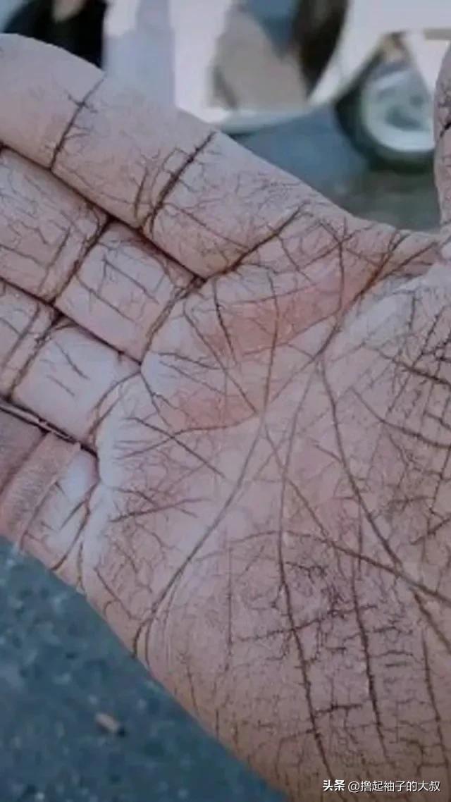 刘亦菲是古代什么人物,刘亦菲古代人物